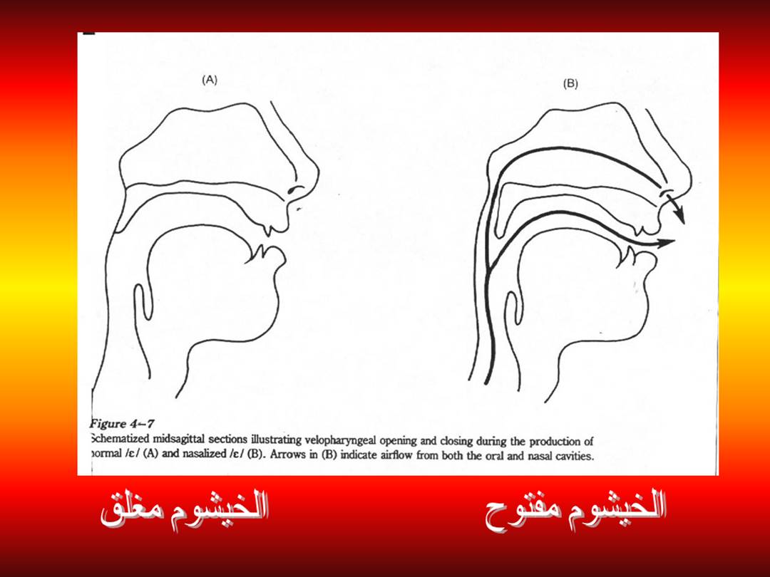 تجويد الحرف - مخارج الحروف